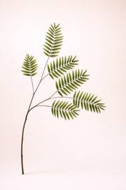 ענף עלי שרך