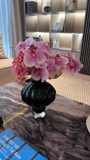 סחלבים מדויקים