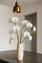 ChatGPT Image Jul 16, 2025, 01_42_58 PM