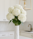 ChatGPT Image Oct 21, 2025, 10_10_32 AM