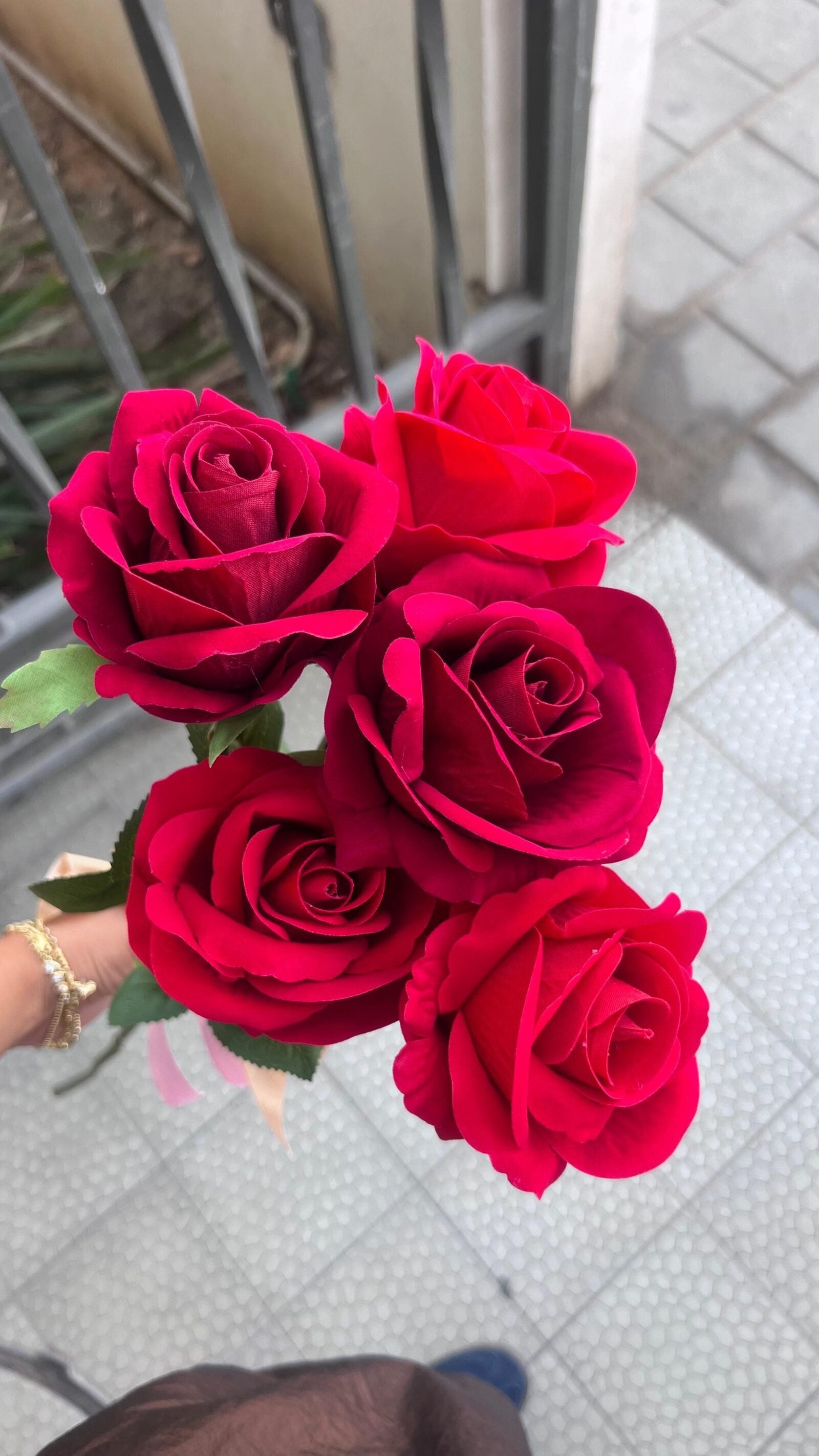 תמונה של WhatsApp‏ 2025-11-11 בשעה 14.19.33_ff86c6a0