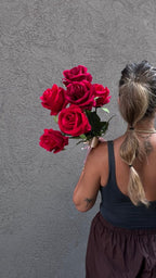 תמונה של WhatsApp‏ 2025-11-11 בשעה 14.14.41_538ea274