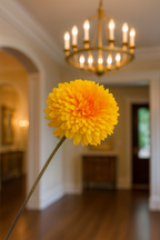 ChatGPT Image Sep 18, 2025, 11_14_19 AM