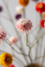 ענף דליה ורוד/קרם 65 ס"מ