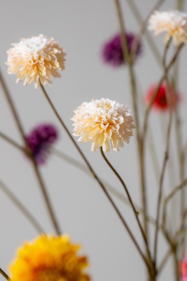 ענף דליה קרם 65 ס"מ