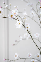 פרחיה פרמיום לבנה 103 ס"מ