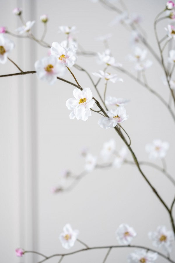 פרחיה פרמיום לבנה 103 ס"מ