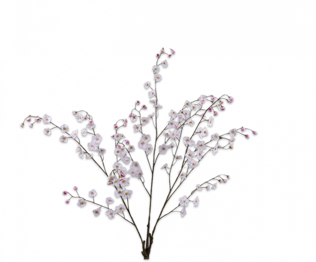 פרחיה פרמיום לבנה 103 ס"מ