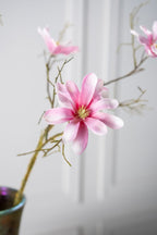 מגנוליה פרמיום ורודה 126 ס"מ