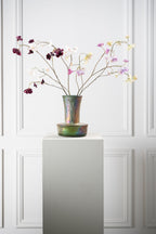 הורטנזיה פרמיום בהיר 75 ס"מ