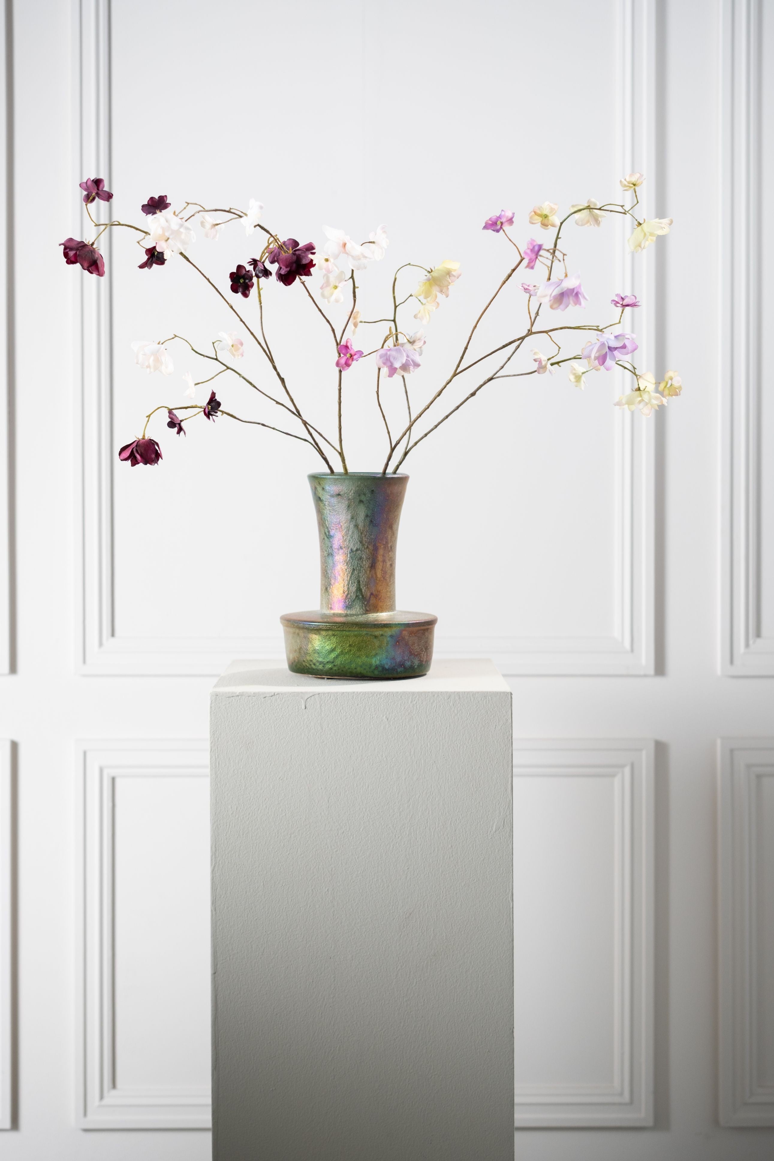 הורטנזיה פרמיום בהיר 75 ס"מ