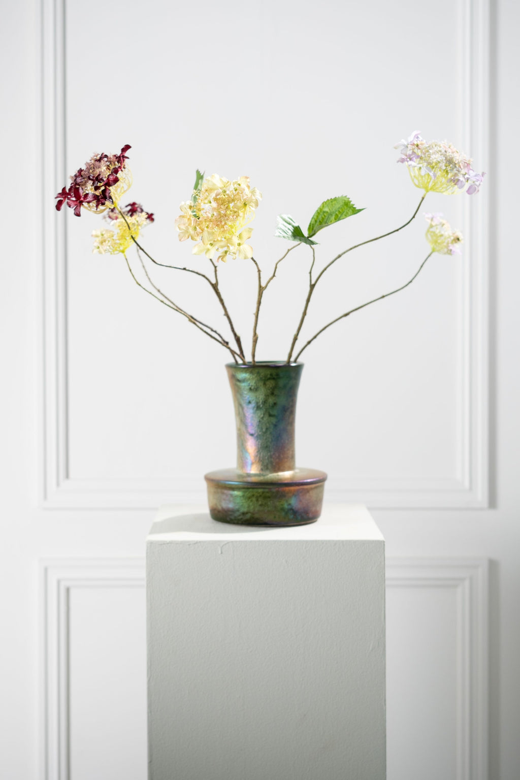 הורטנזיה פרמיום בורדו 71 ס"מ