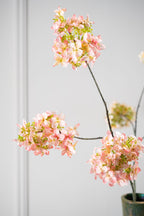 הורטנזיה פרמיום 98 ס"מ