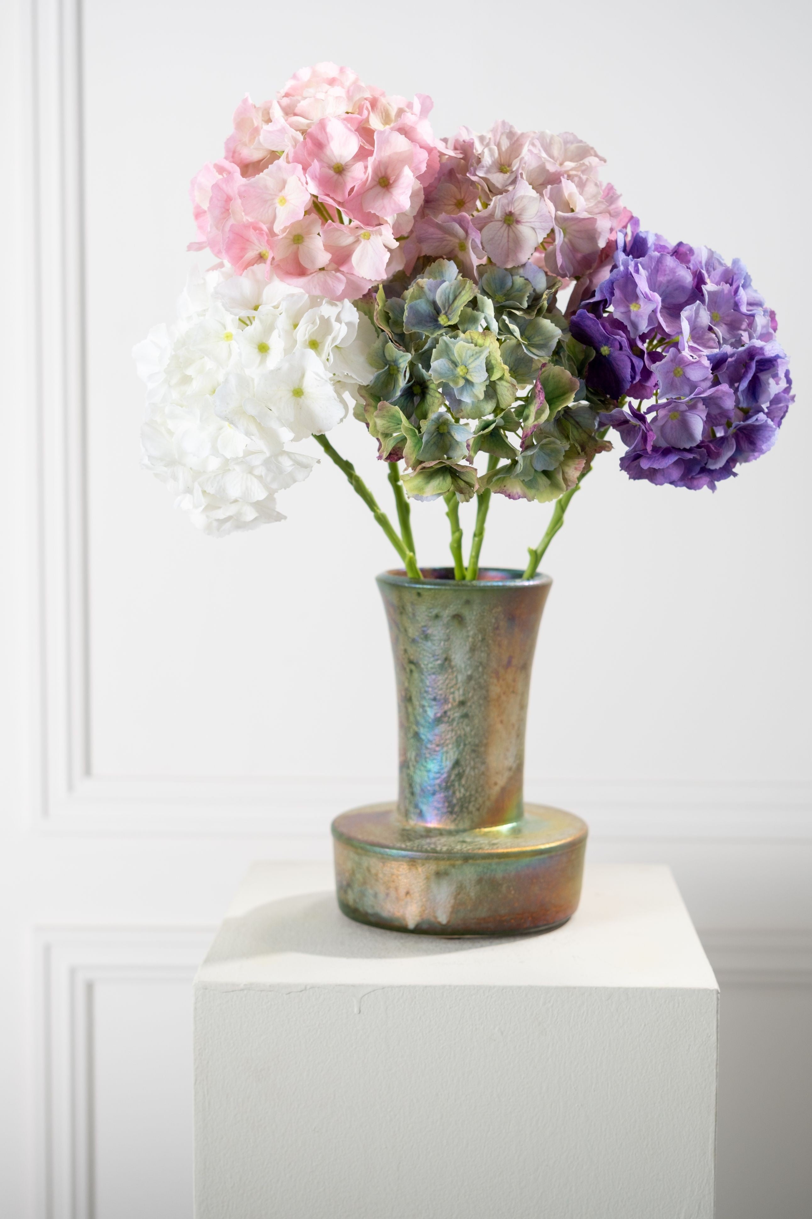 הורטנזיה פרמיום ירוק