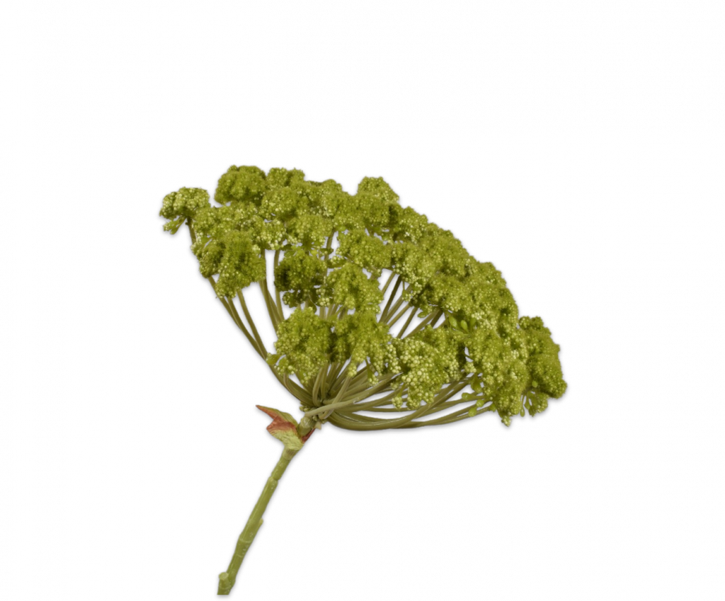 חרדל פרמיום ירוק 85 ס"מ