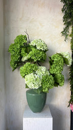 קומפוזיציה ירוקה