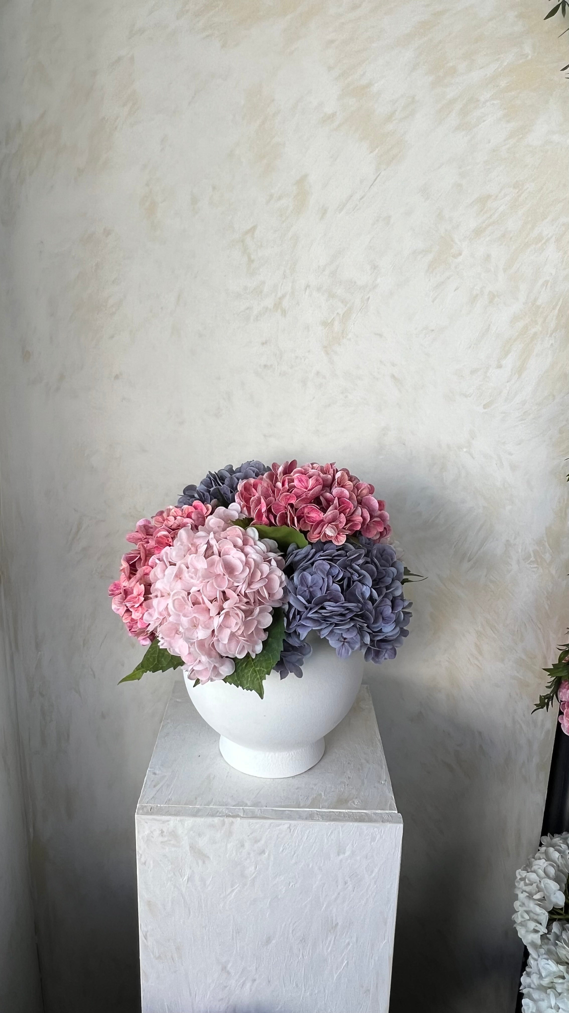 סגול ורוד ופוקסיה