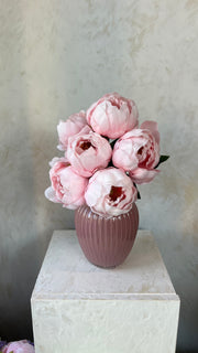 שש אדמוניות