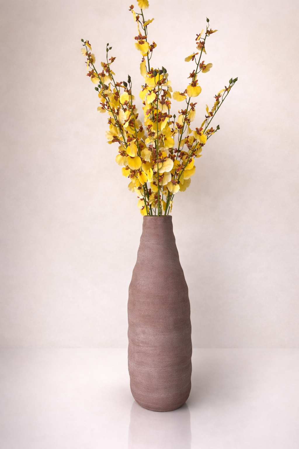 סידור סחלבים צהובים