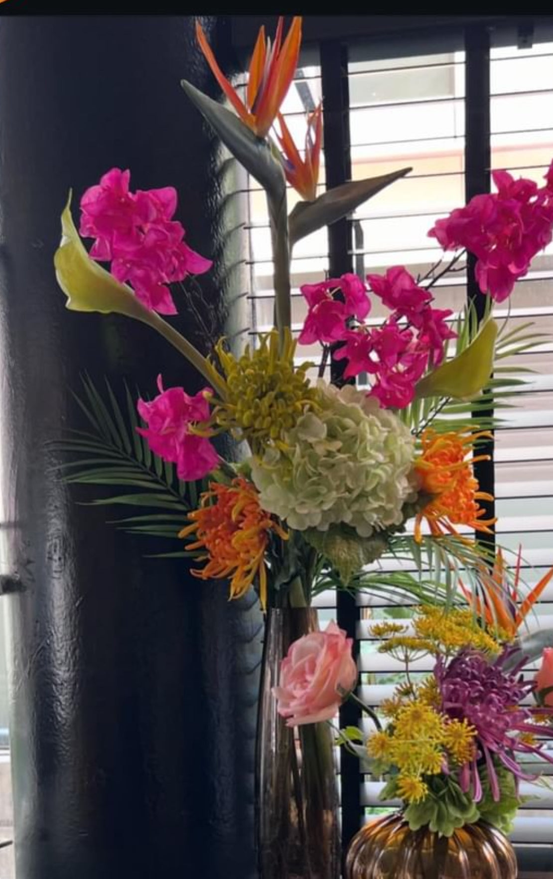 טרופי גבוה במיוחד