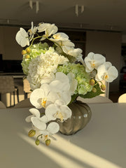 אלגנטי לבן וירוק בהיר