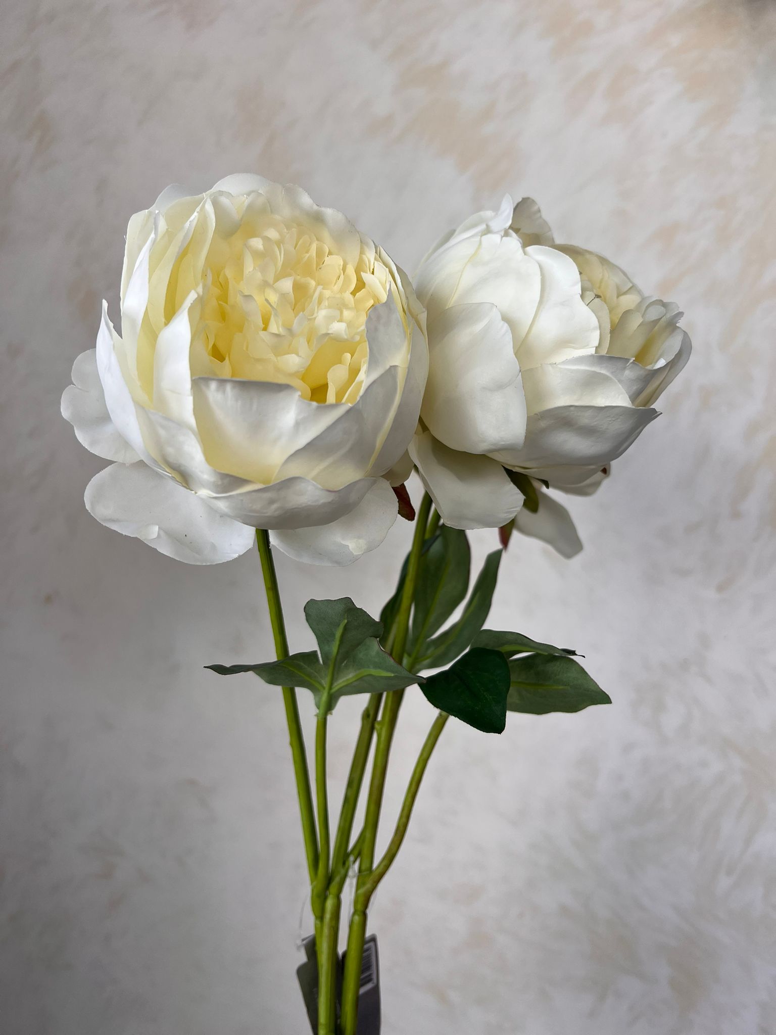 זר כלה קלאסי פיוני לבן