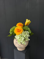 רק ירוק וכתום