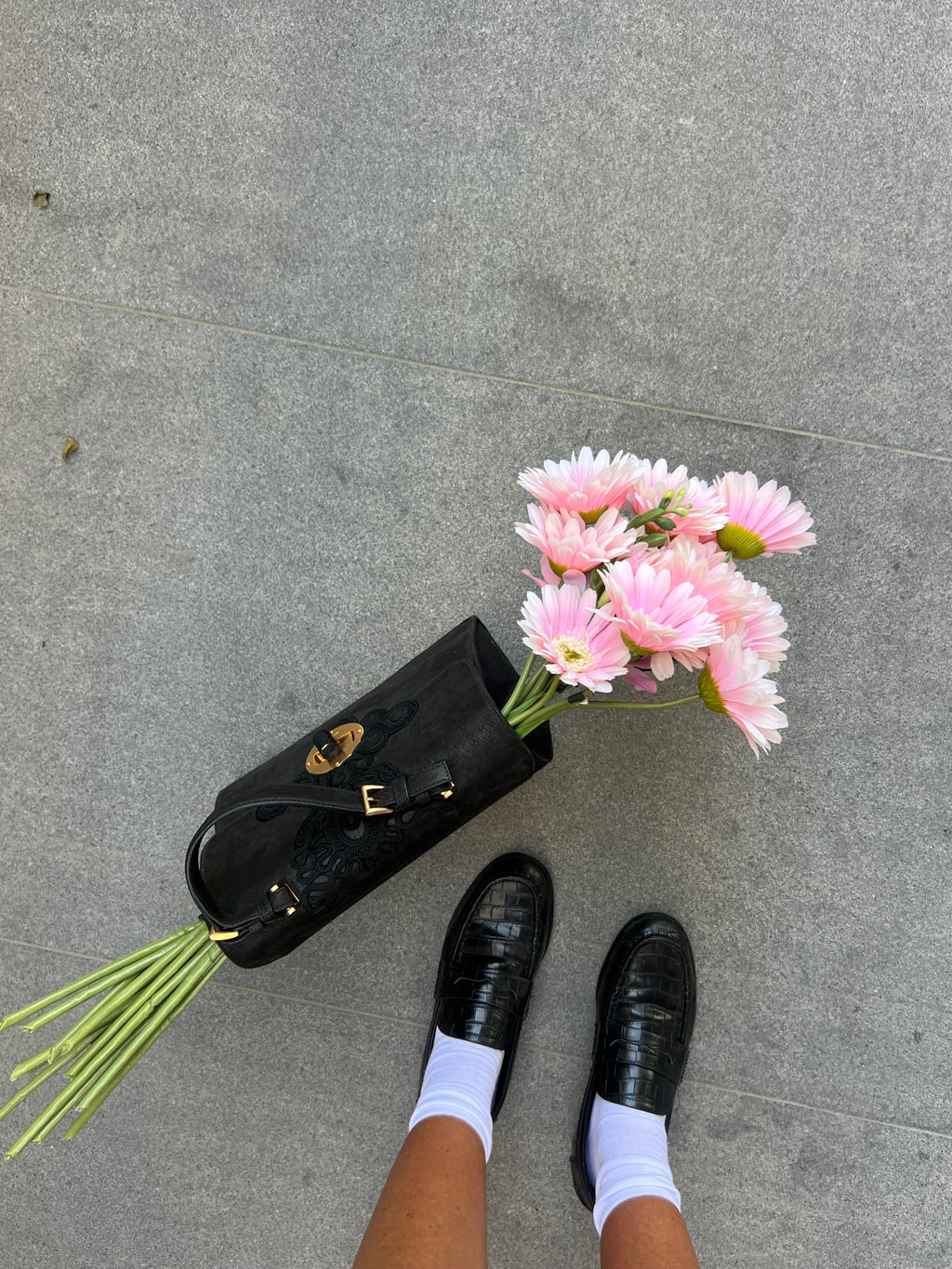 גרברות ורודות