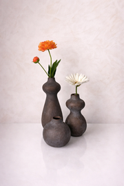 דואט כתום לבן