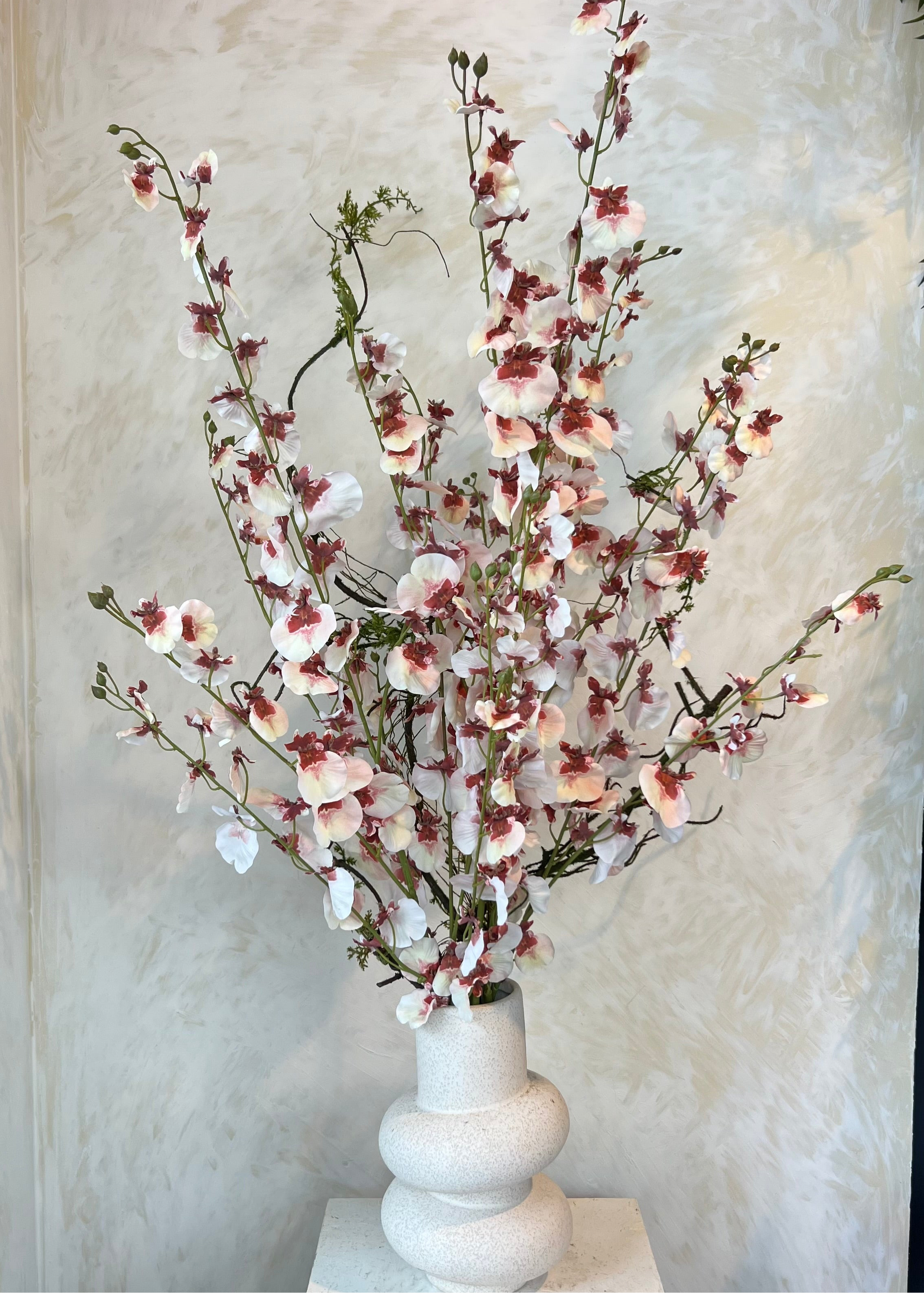 פריחה לבנה ביפן