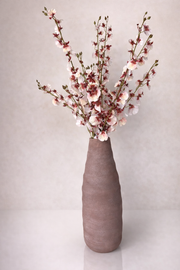 סידור סחלבים - פריחה סמוקה