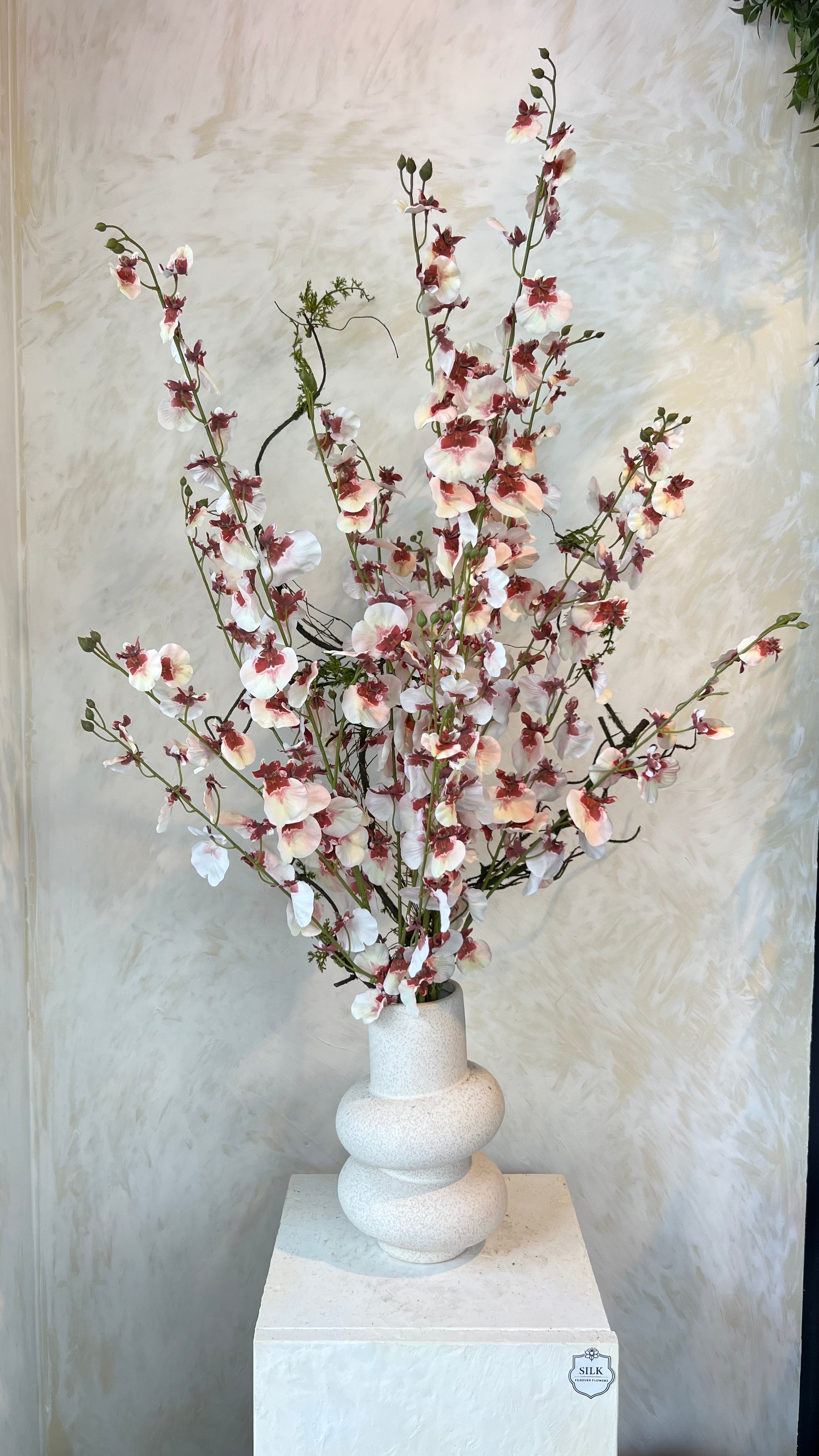 פריחה לבנה ביפן