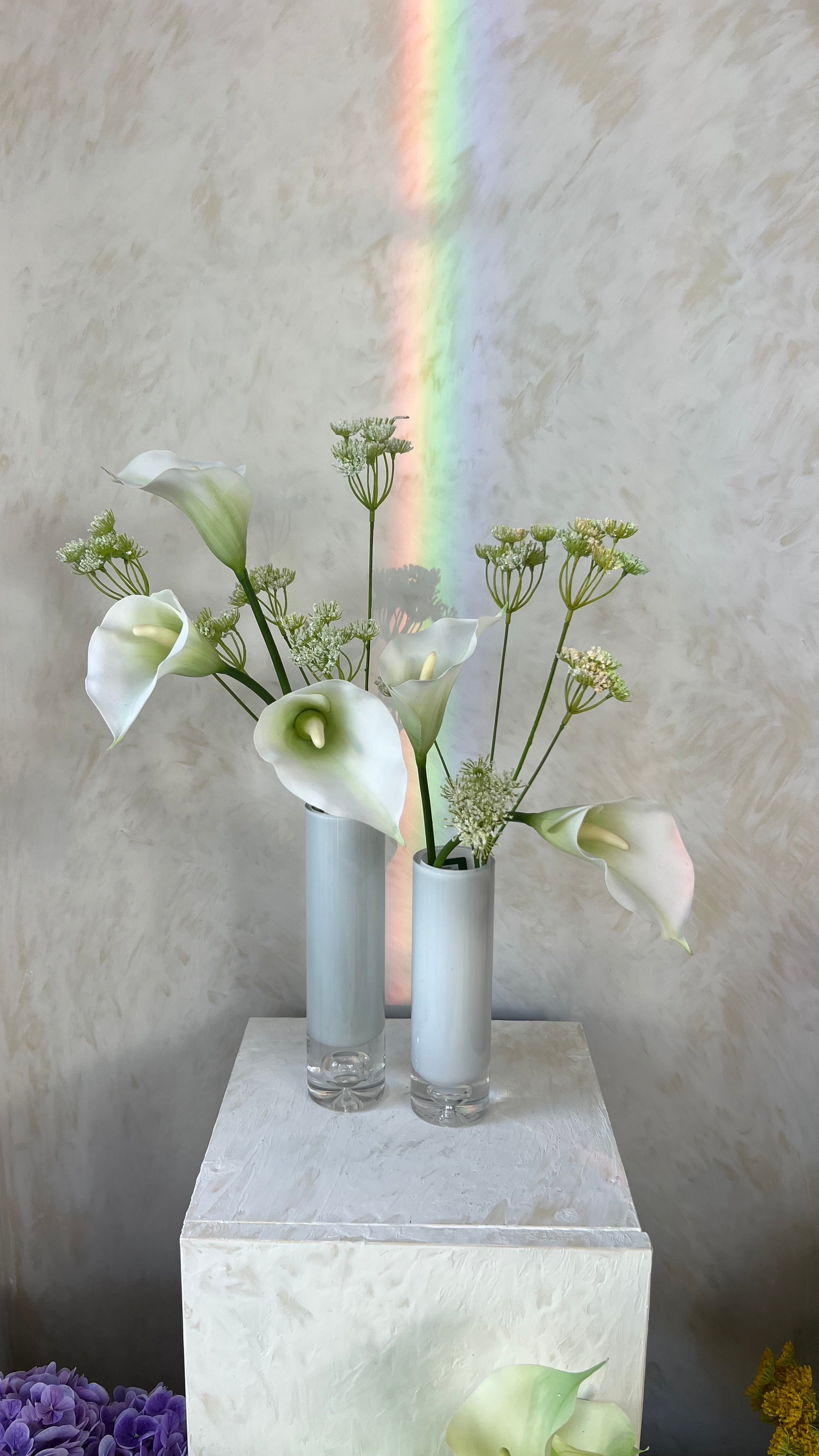 קומפוזיציה קאלות