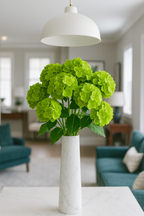 הורטנזיה ירוקה 55 ס"מ