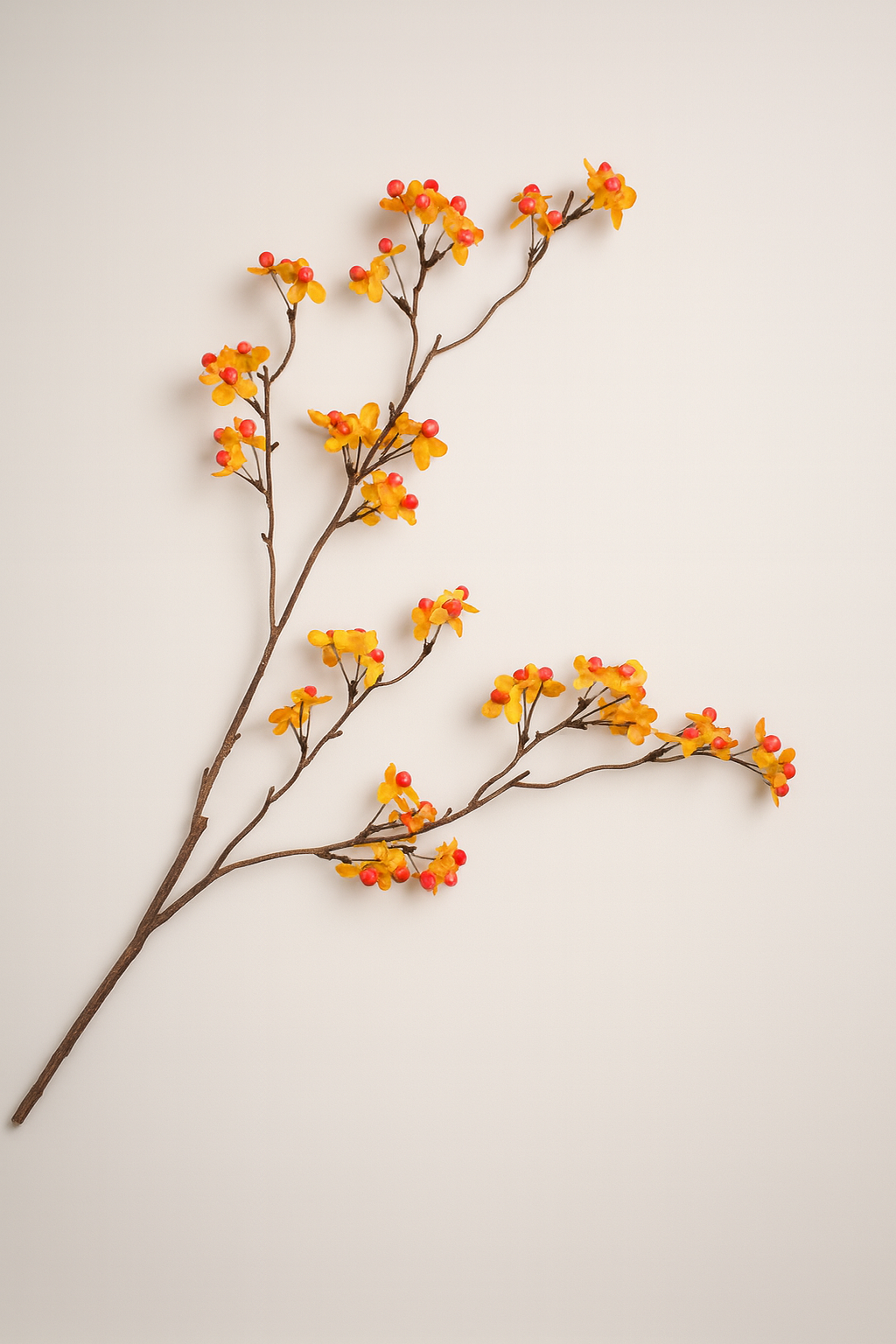 פריחה כתומה