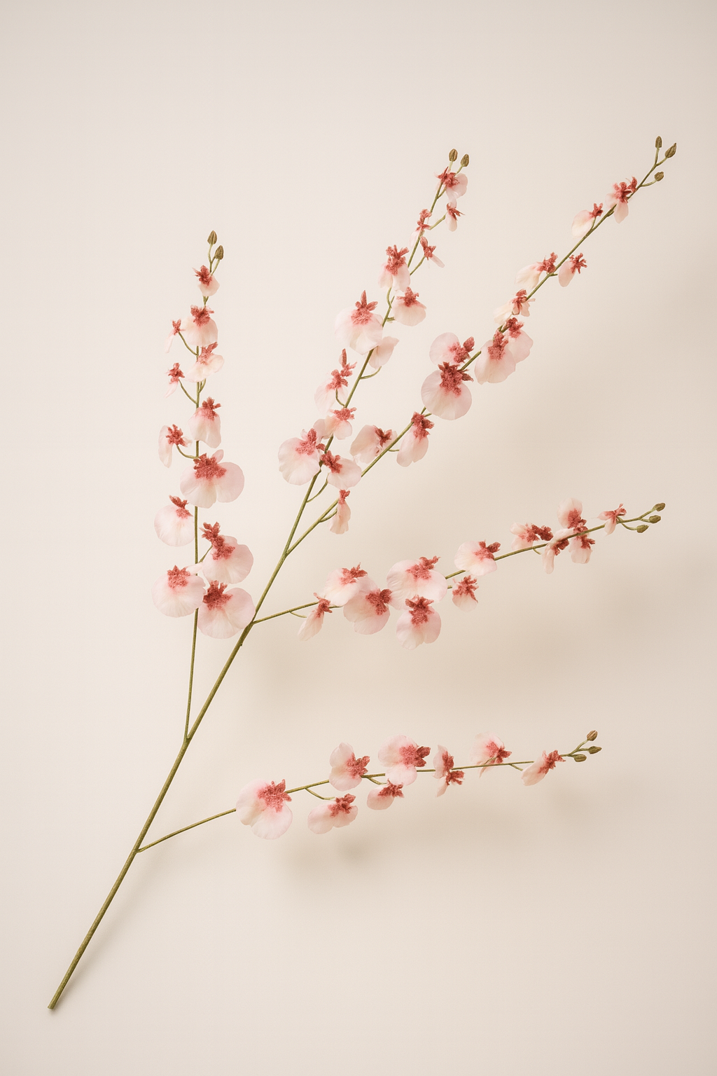 ענף סחלב אונסידיום ורוד 118 ס"מ