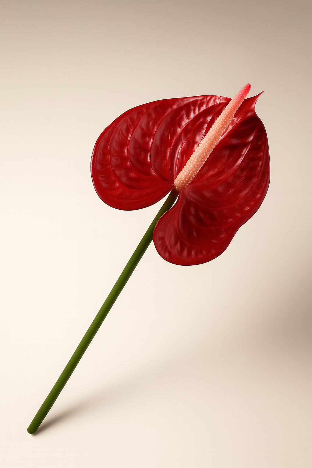 גבעול אנטוריום אדום 66 ס"מ