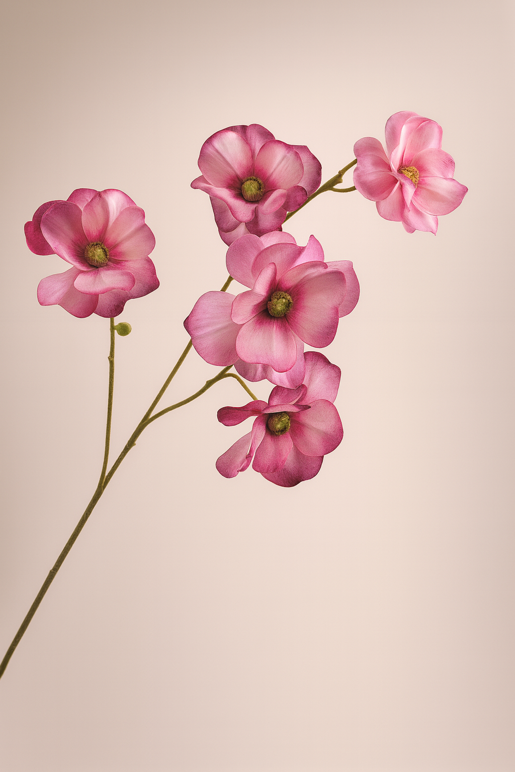 אמנון ותמר ורוד 65 ס"מ