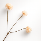 ענף דליה קרם 65 ס"מ