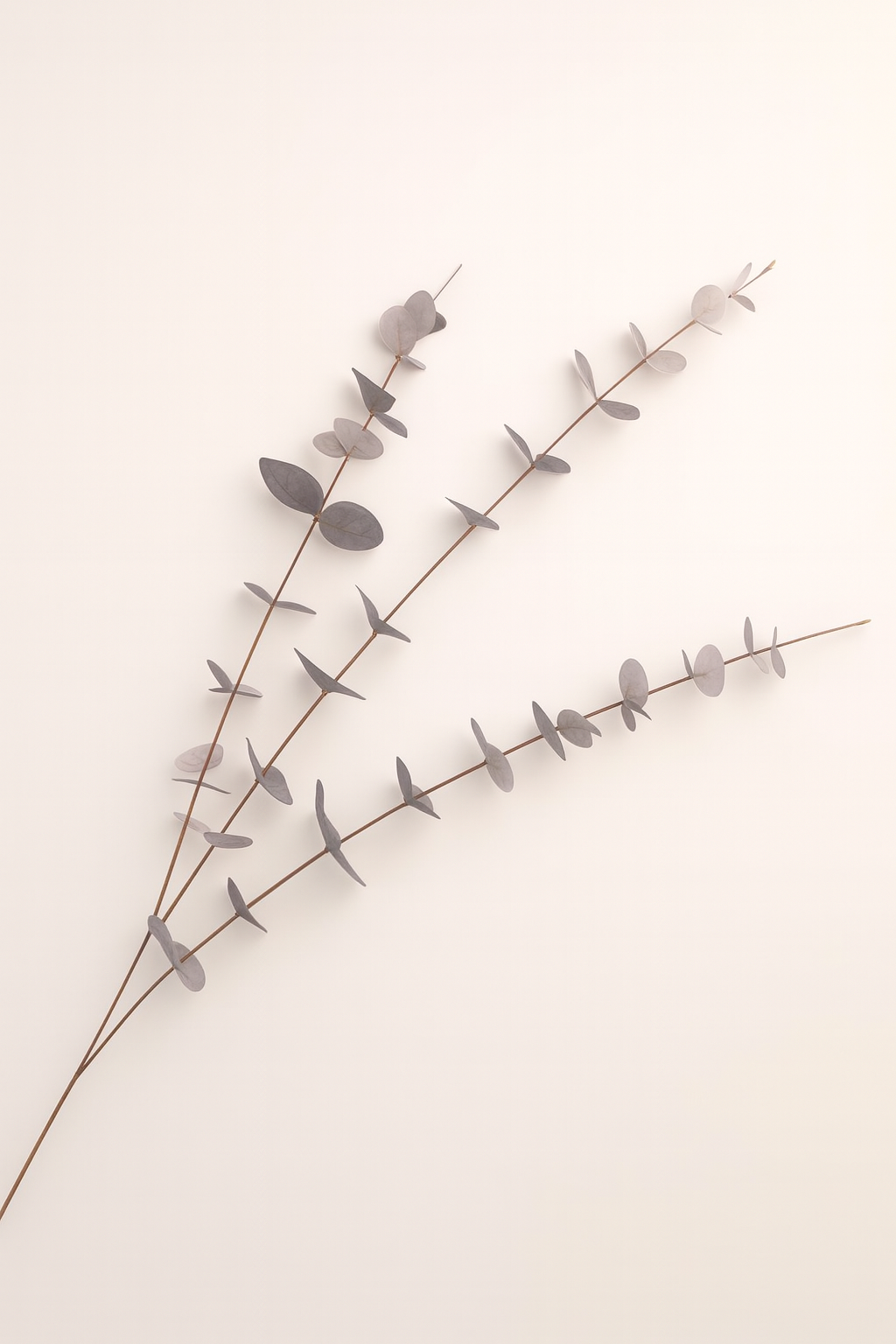 אקליפטוס ירוק/אפור 79 ס"מ