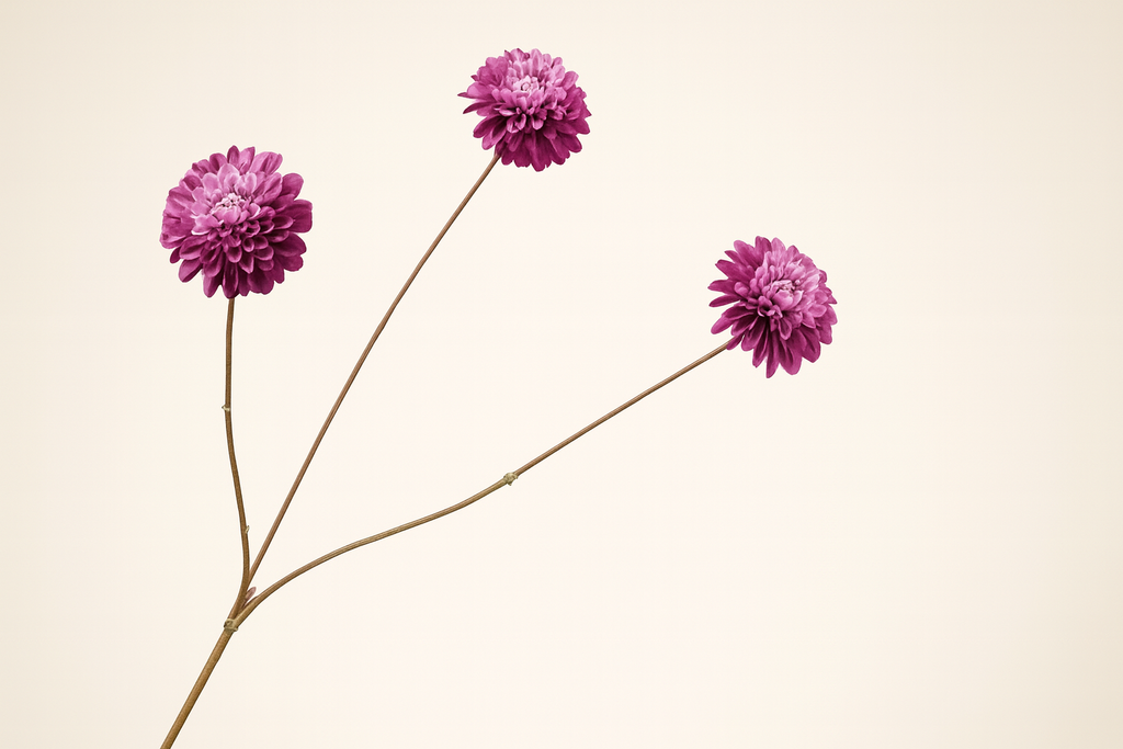 ענף דליה סגול 65 ס"מ