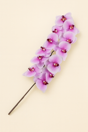 סחלב ורוד גבוה 110 ס"מ