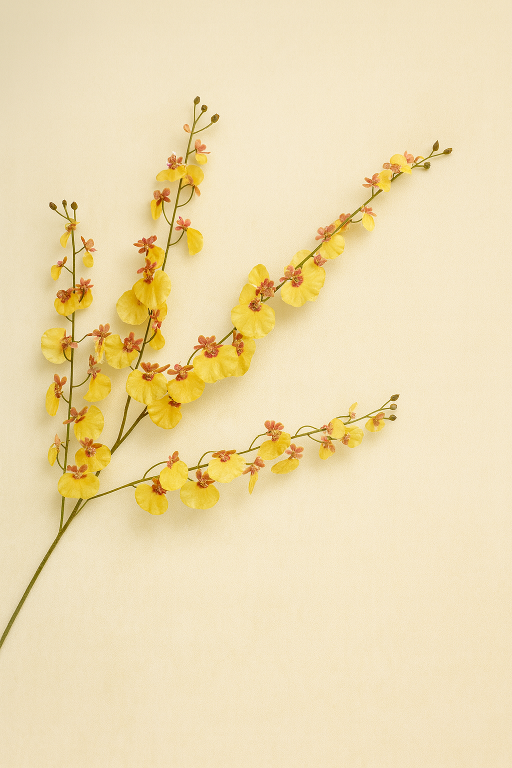 ענף סחלב אונסידיום צהוב 118 ס"מ