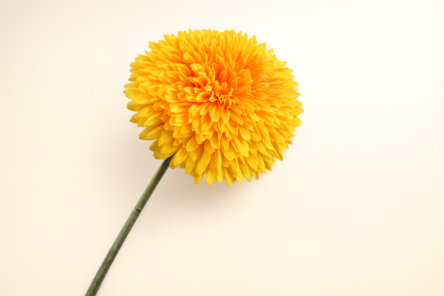 גבעול חמניות צהוב 62 ס"מ