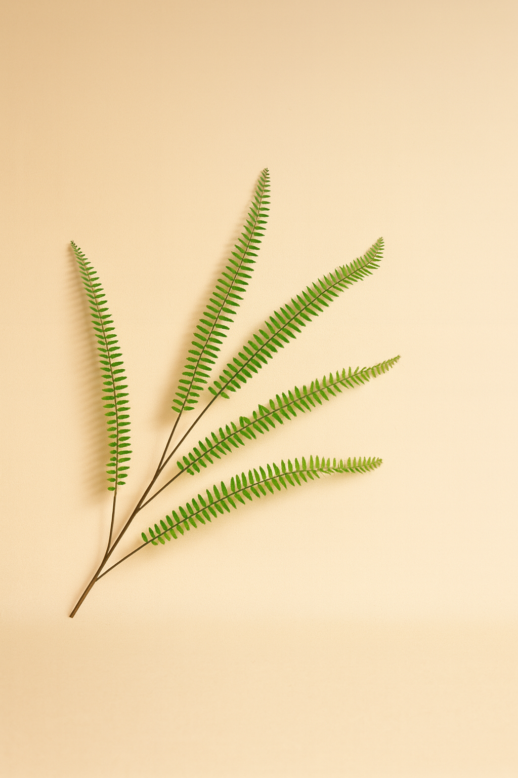 חבילת שרך ירוק – 106 ס"מ