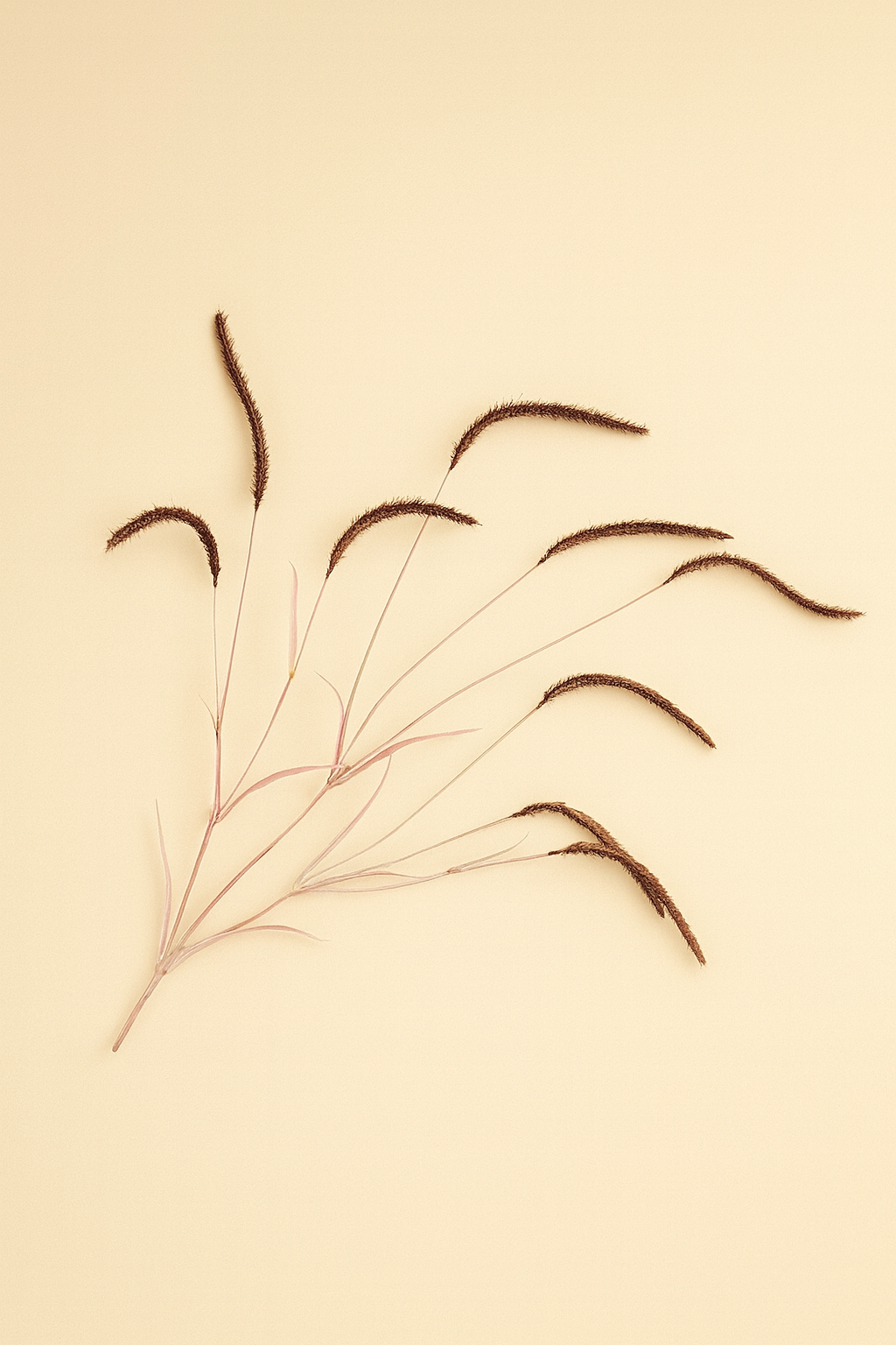 ענף עשב בורדו 105 ס״מ