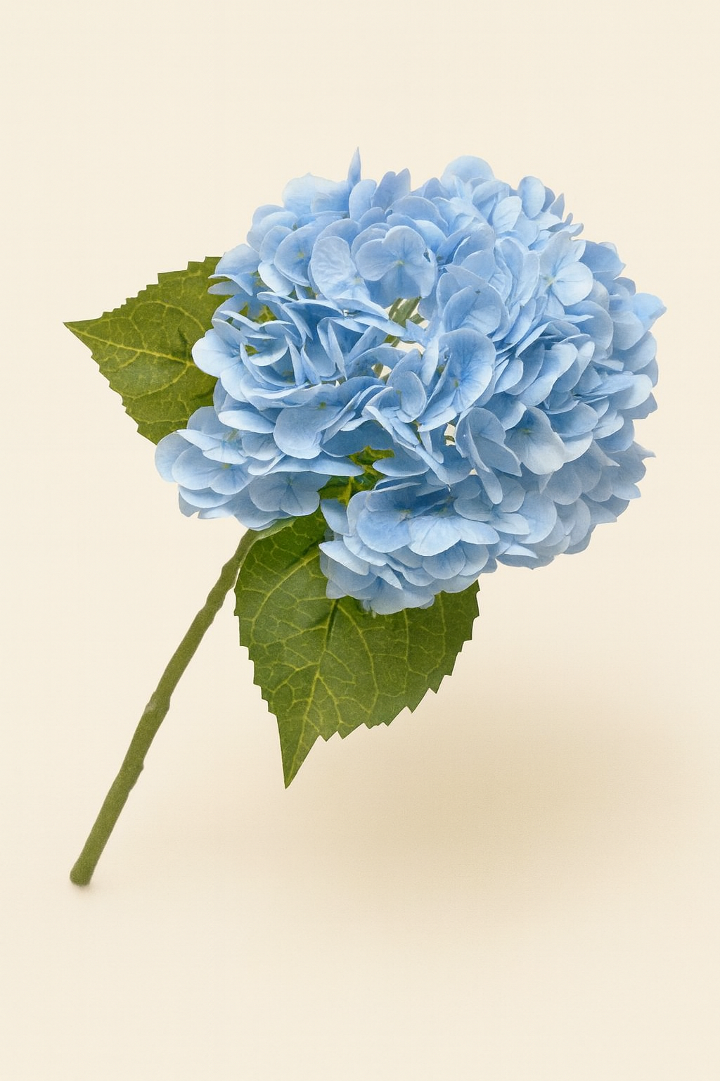 גבעול הורטנזיה כחול בהיר 64 ס"מ