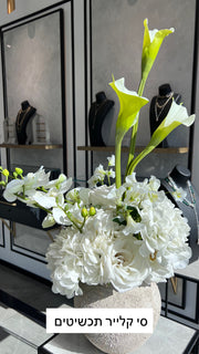 הברבור הלבן