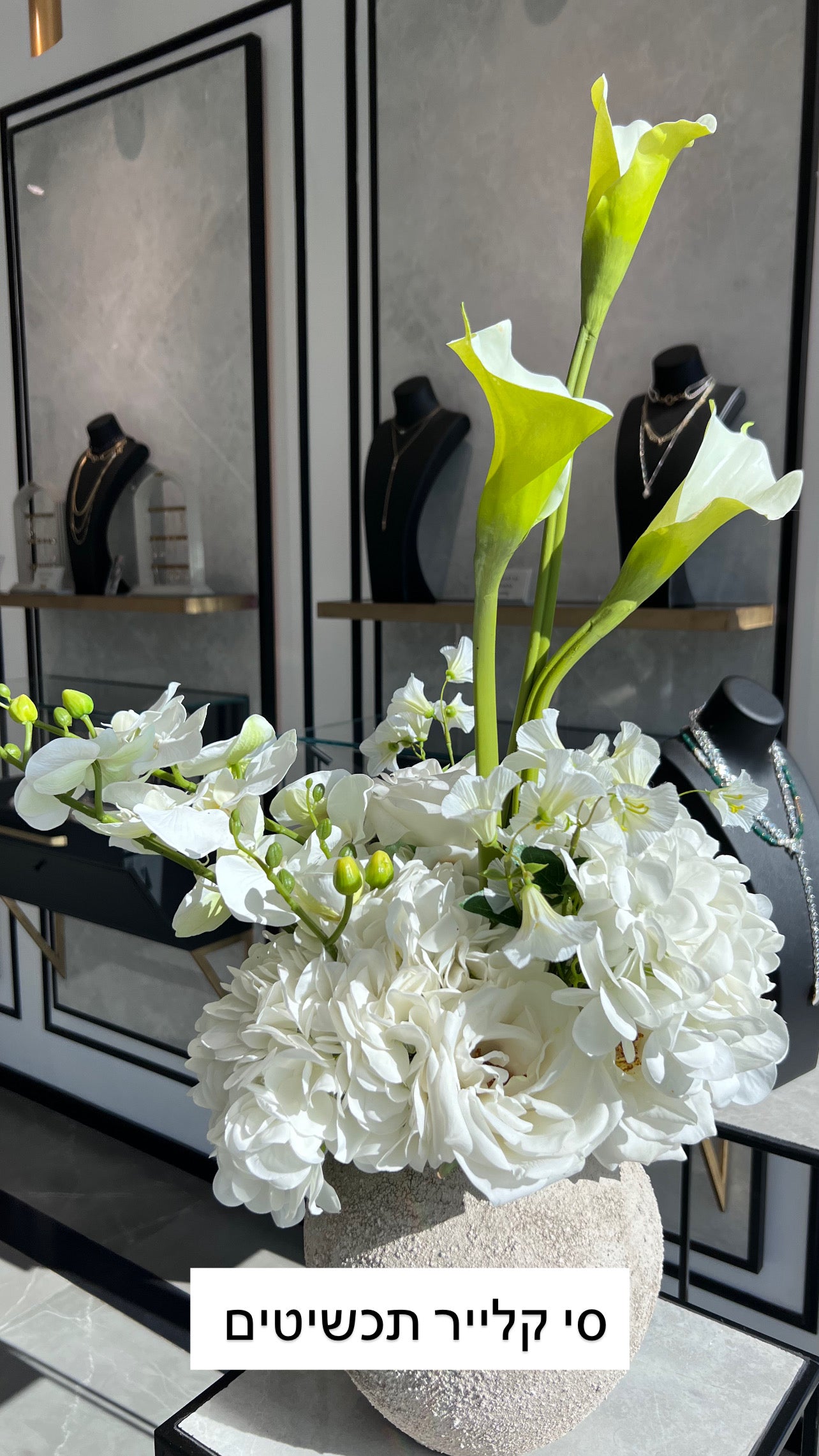 הברבור הלבן