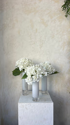 קומפוזיציה לחג